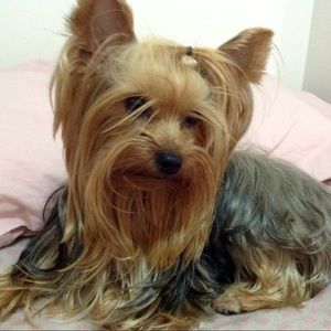 Meet your Posher, Bianca